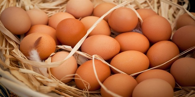 Her evde olmazsa olmazlardan yumurtanın taze olup olmadığını öğrenmek için 5 kesin yöntem, Okumak için tıklayın.